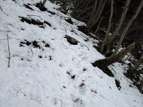 20170113hike (191)
